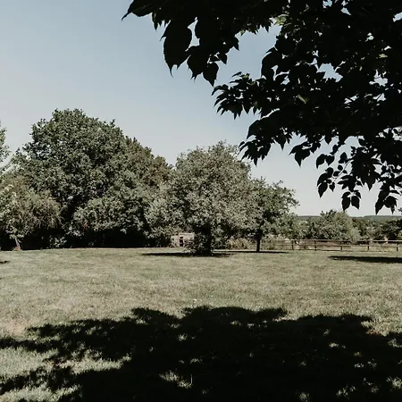 Orman Evi La Petite Motte *