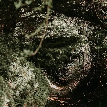 La Petite Motte Ceton