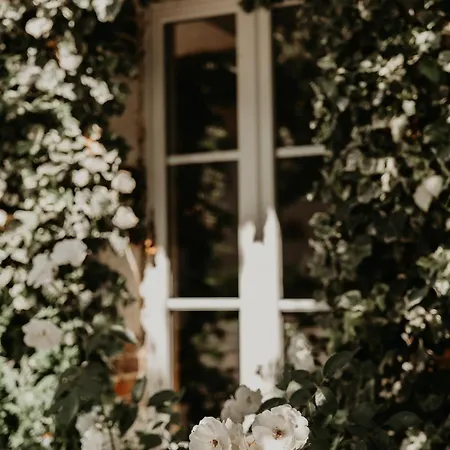 La Petite Motte *