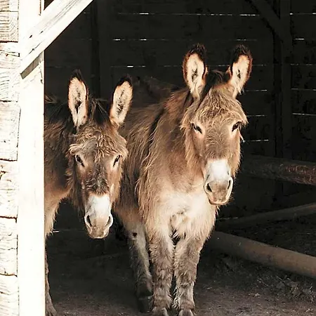 Gerendaház La Petite Motte Ceton