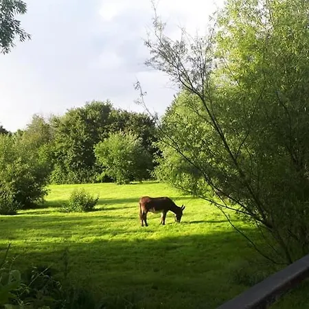 Lodge La Petite Motte