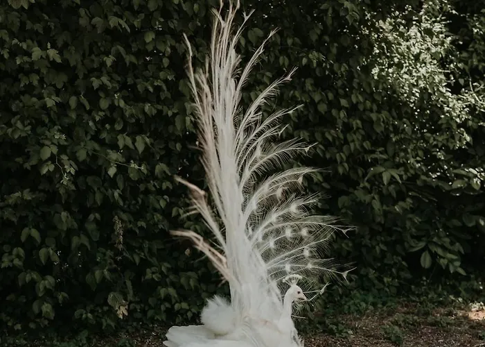 Orman Evi La Petite Motte