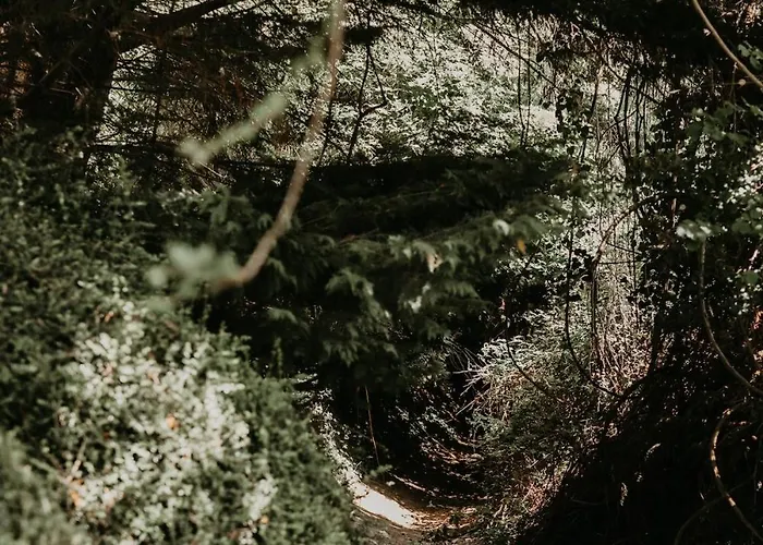 La Petite Motte סטון